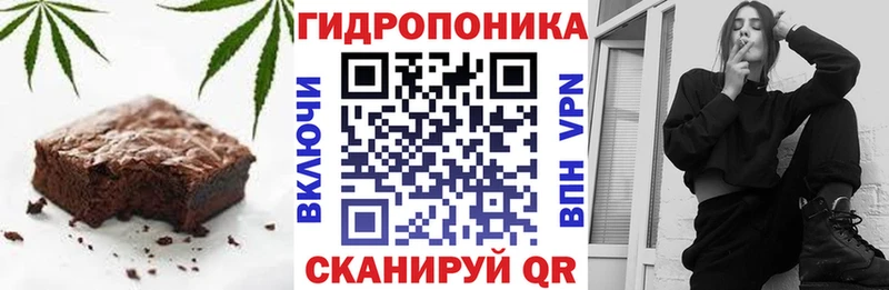 купить  сайты  Мурино  Canna-Cookies конопля 