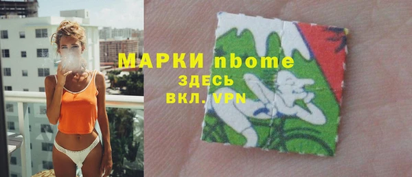 индика Нязепетровск