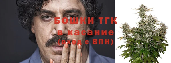 индика Нягань