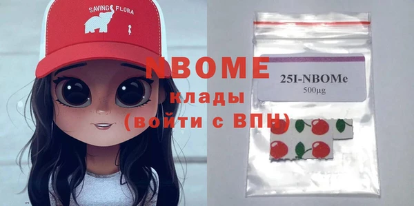 индика Нягань