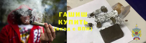 индика Нягань