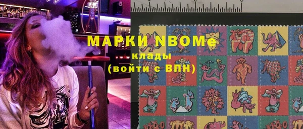 индика Нязепетровск