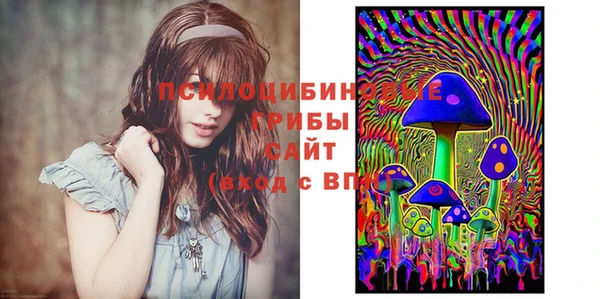 индика Нягань