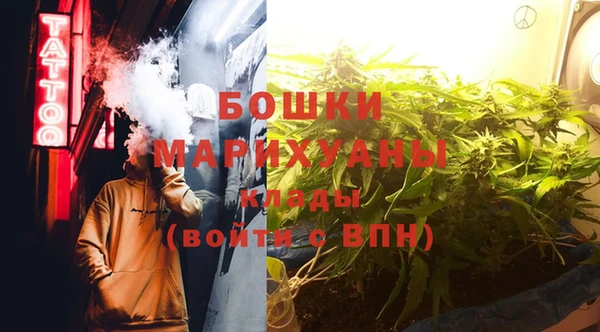 индика Нязепетровск