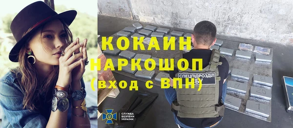 индика Нягань