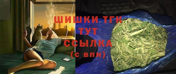 индика Нязепетровск