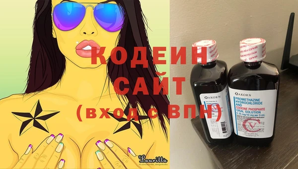 индика Нягань