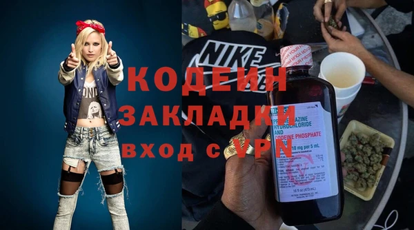 индика Нязепетровск