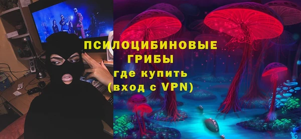 2c-b Новодвинск
