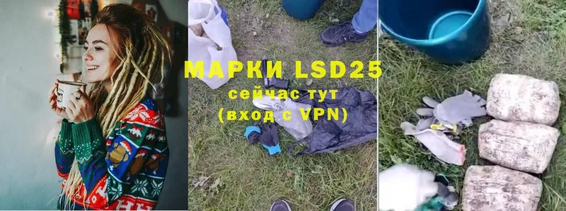 магазин продажи наркотиков  Мурино  LSD-25 экстази кислота 