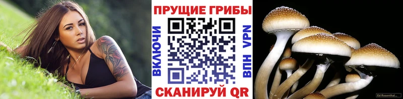 Галлюциногенные грибы мухоморы  наркотики  Мурино 