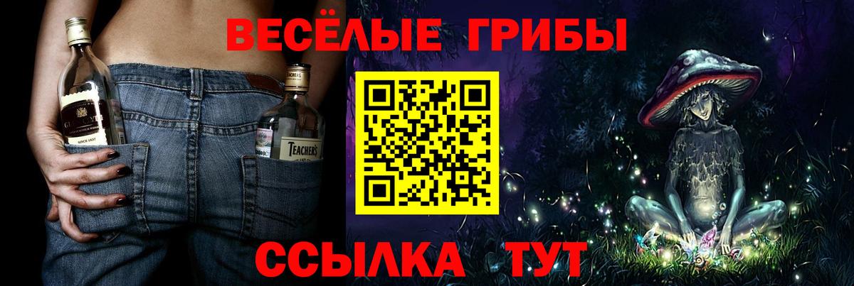 Галлюциногенные грибы Psilocybe Мурино