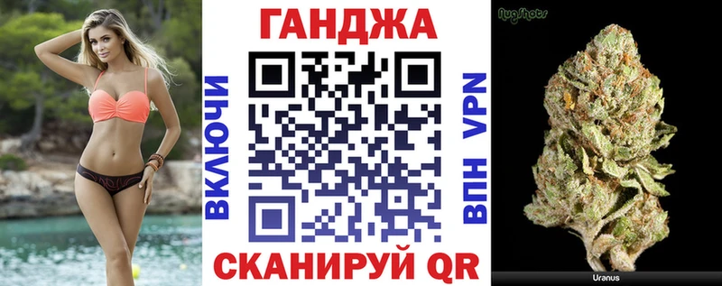 ссылка на мегу как войти  Мурино  Марихуана тримм 