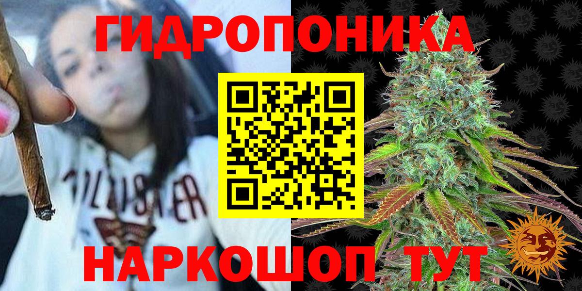 Марихуана план Мурино